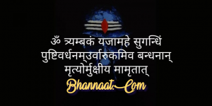  mahamrityunjaya-mantra-benefits-in-hindi-bhannaat.com