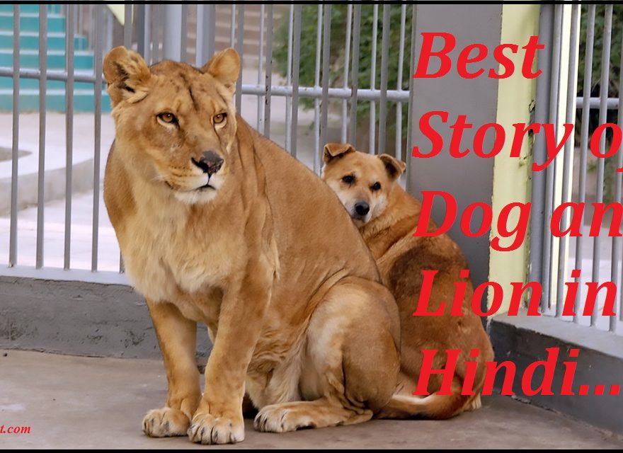 MBA Management Story of Dog and Lion in Hindi