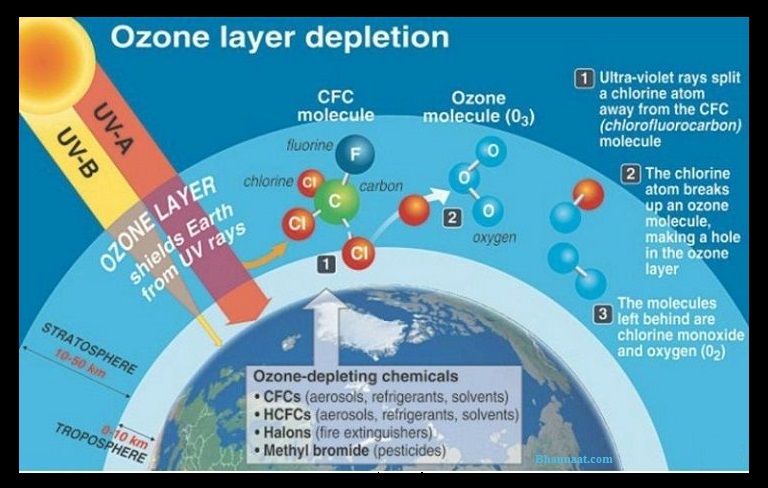 Ozone Layer Information in Hindi Explained