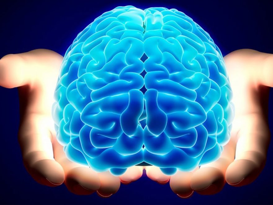 Fact of Mind in Hindi and Quotes on Human Brain