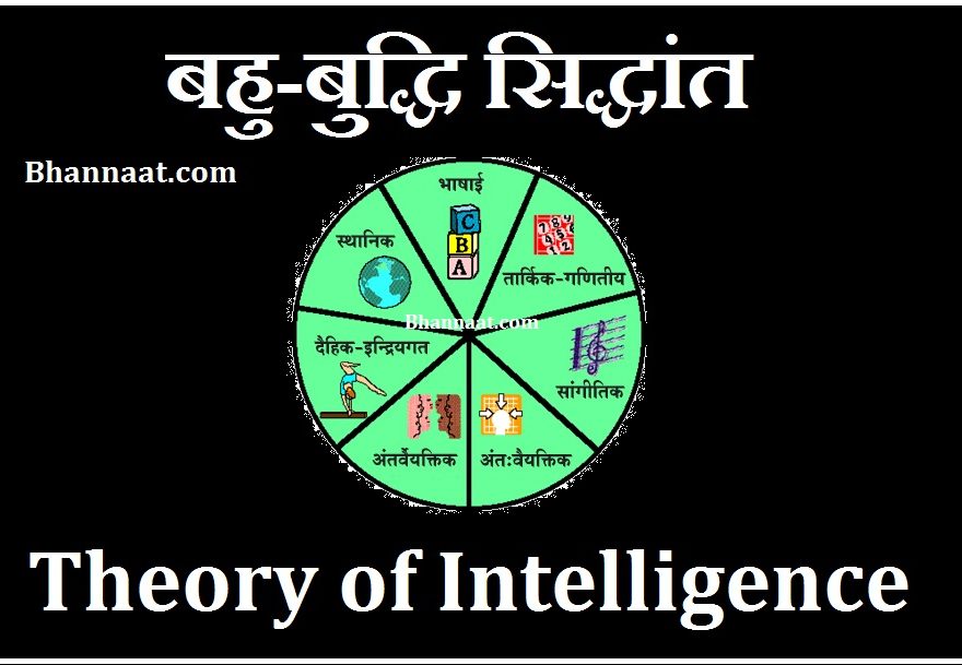 Intelligence Theory Psychology in Hindi Language
