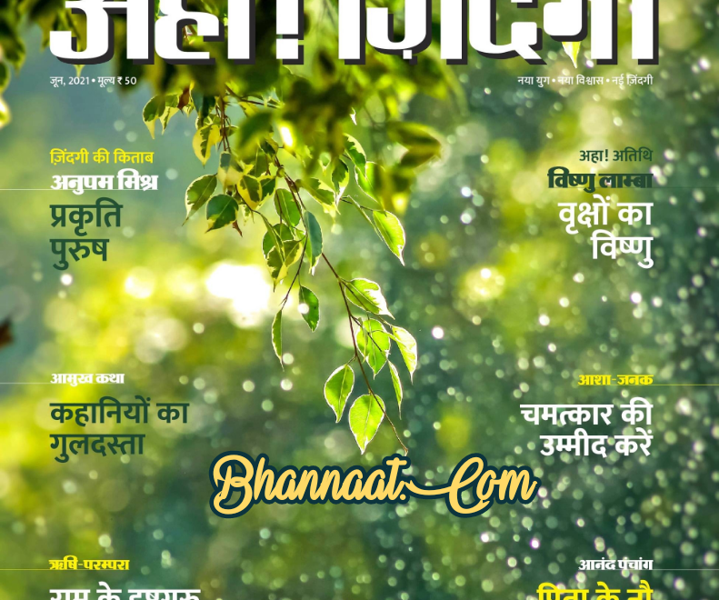 Download Aha Zindagi PDF- अहा ज़िन्दगी Magazine