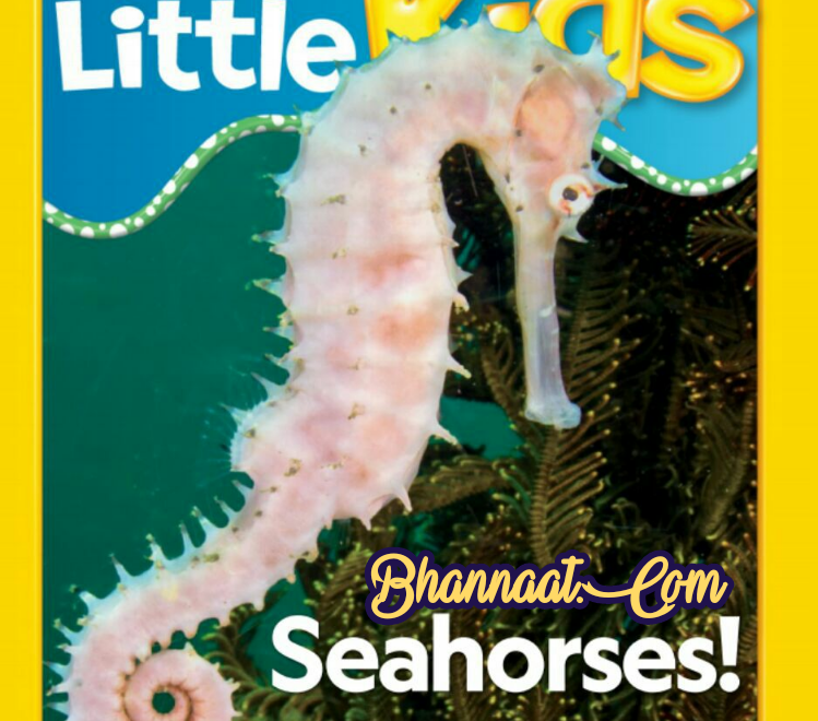 National Geographic little kids pdf June 2019 free download