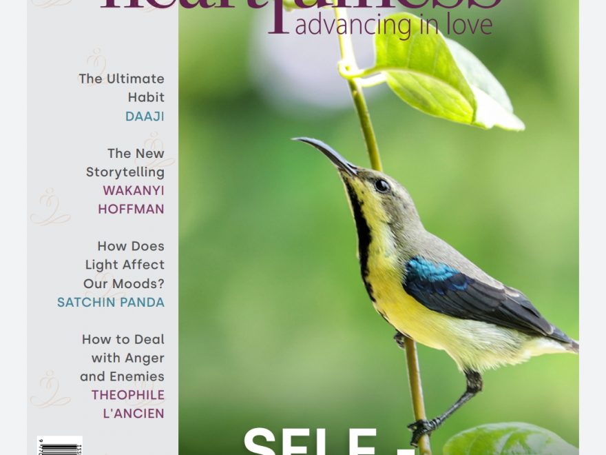 Heartfulness magazine November 2021 PDF हार्टफुलनेस Patrika नवम्बर 2021 PDF