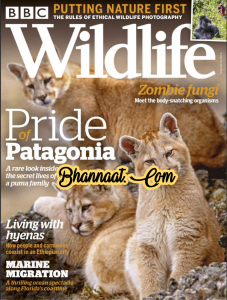 BBC wildlife magazine zombie fungi October 2020 pdf wildlife magazine pride of Patagonia pdf wildlife magazine wildlife photography pdf