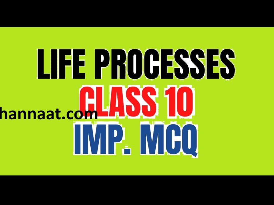 life processes class 10 mcqs pdf Life Processes Class 10 MCQ 2022 PDF Download 50 mcq life processes class 10 with answers mcq on life processes quiz online mcq on life processes class 10 pdf
