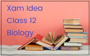 Xamidea Class 12th BIOLOGY Pdf, Class 12 BIOLOGY Xam Idea Pdf, Xamidea Pdf, Xam Idea BIOLOGY Class 12 Pdf Download, Xamidea Class 12th BIOLOGY Standard Term 2 Book Pdf, Class 12 BIOLOGY Xam Idea Pdf, Xam Idea Pdf, Xam Idea BIOLOGY Class 12 Pdf Download, Xam Idea Pdf, Class 12 BIOLOGY Xam Idea Pdf, Class 12 Biology Xam Idea Pdf, Class 12 Biology Xam Idea Pdf, Class 12 Physics Xam Idea Pdf, Class 12 BIOLOGY Xam Idea Pdf, Xam Idea Pdf Class 9, Xam Idea Pdf Class 12, Class 12 BIOLOGY Xam Idea Pdf, Class 12 BIOLOGY Xam Idea Pdf Download
